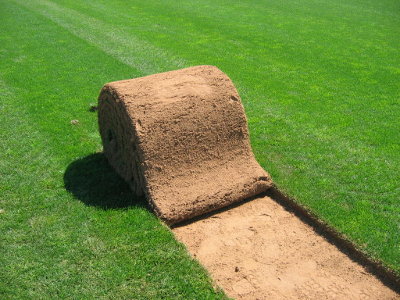 Camposol - Tapetes de Relva