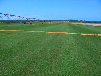 Camposol, Relva Mistura Sport